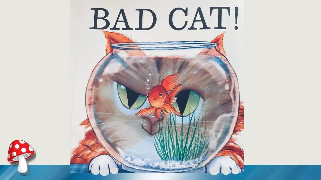 Miss Jill Reads Bad Cat Storytime