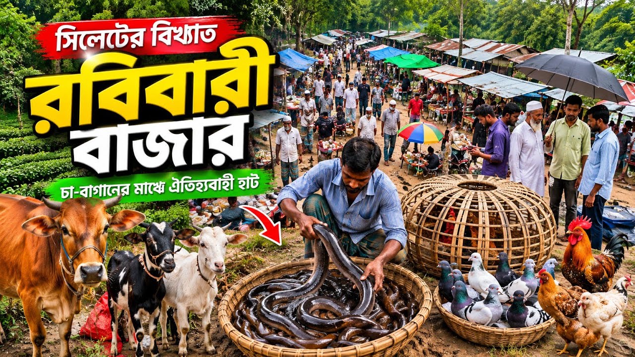 সিলেটের ঐতিহ্যবাহী রবিবারি বাগান বাজার