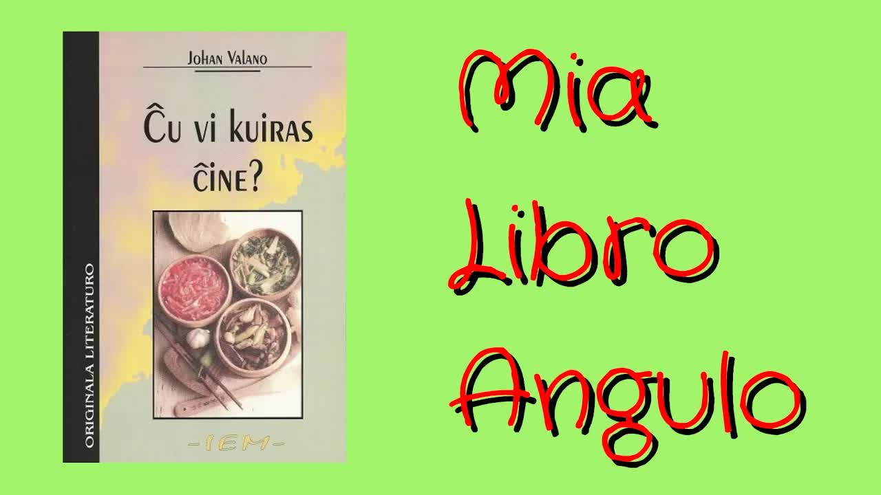 Recenzo de la libro Ĉu vi kuiras ĉine?