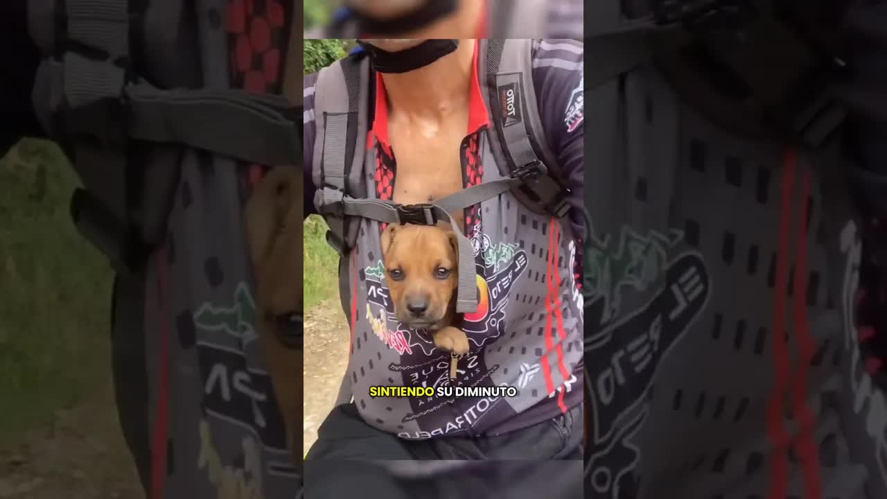 Encontré un cachorrito en mi paseo en bicicleta
