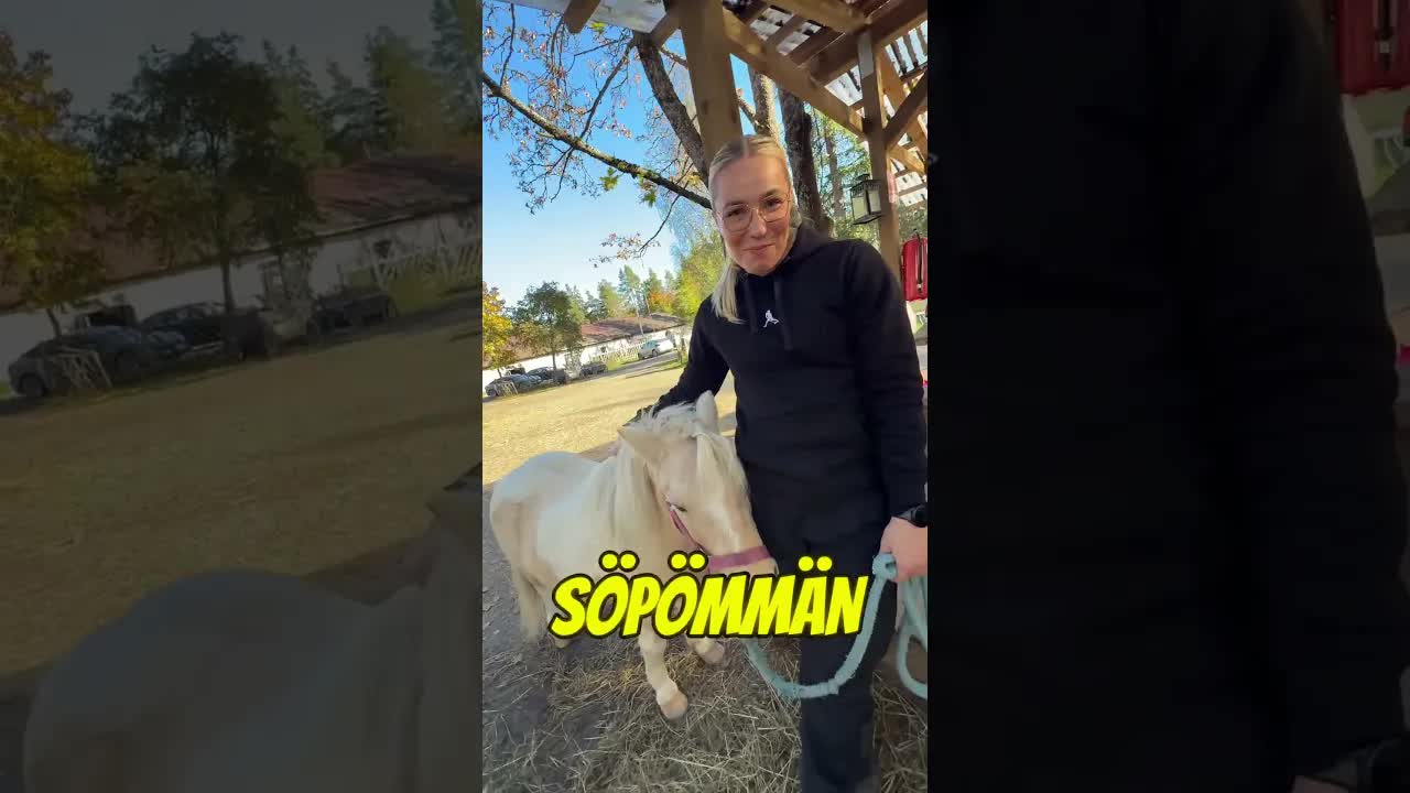 Isä ostaa mulle lemmikin ja ponin