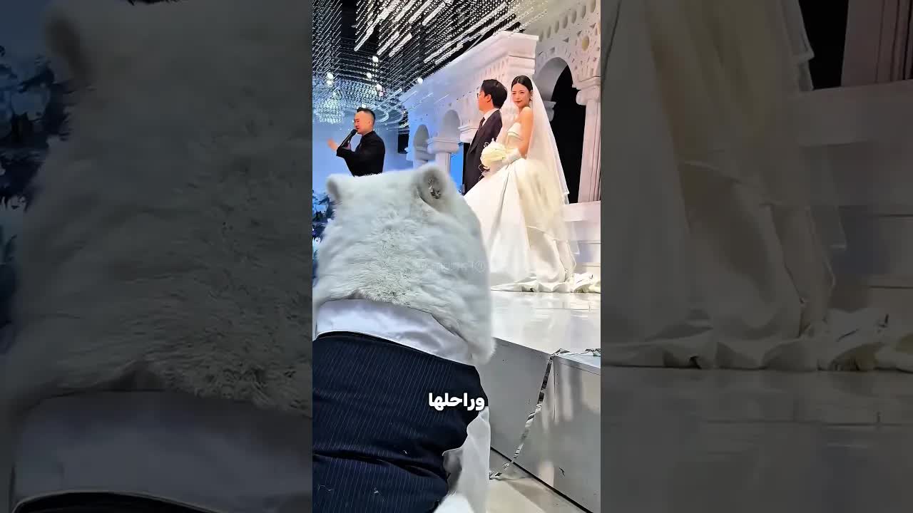 بنت خدت كلبها معاها يوم فرحها