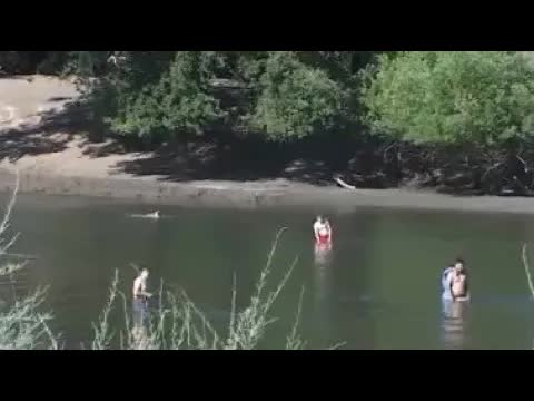 River Rescues And Safety Warnings In Ripon