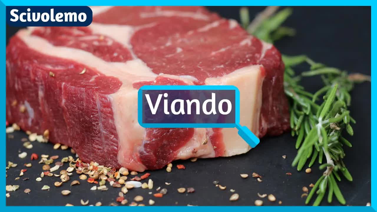 Ĉu ni bezonas viandon por sana dieto?