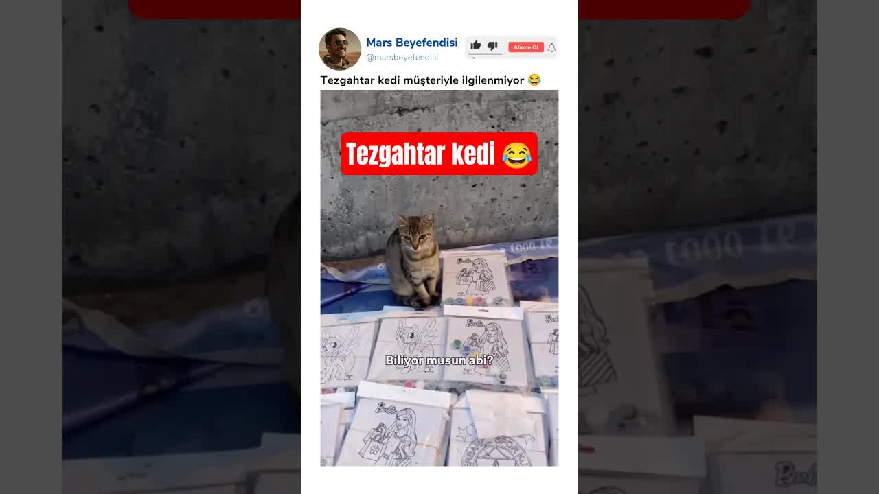 Kedi Esnafın Tezgahında Müzakere