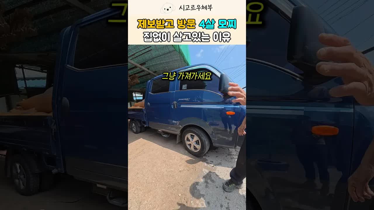 집 없는 시골개 모찌의 새로운 보금자리