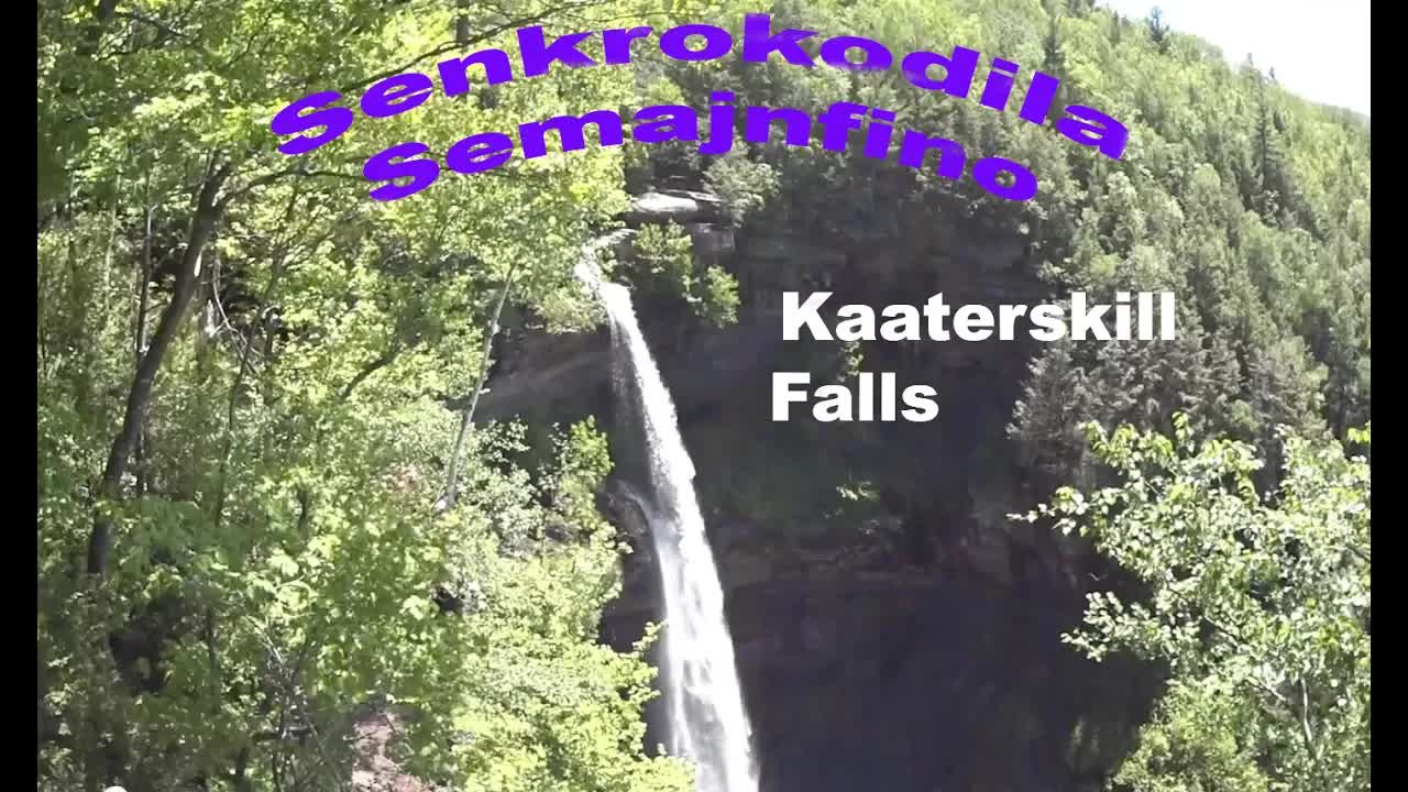 Senkrokodila Semajnfino ĉe Kerckhove