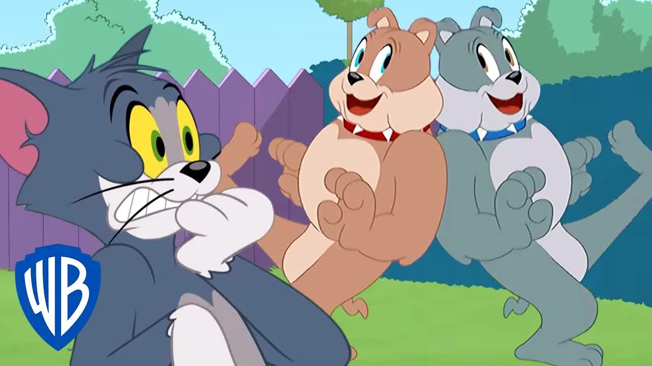 Tom y Jerry: El hermano de Spike visita la casa