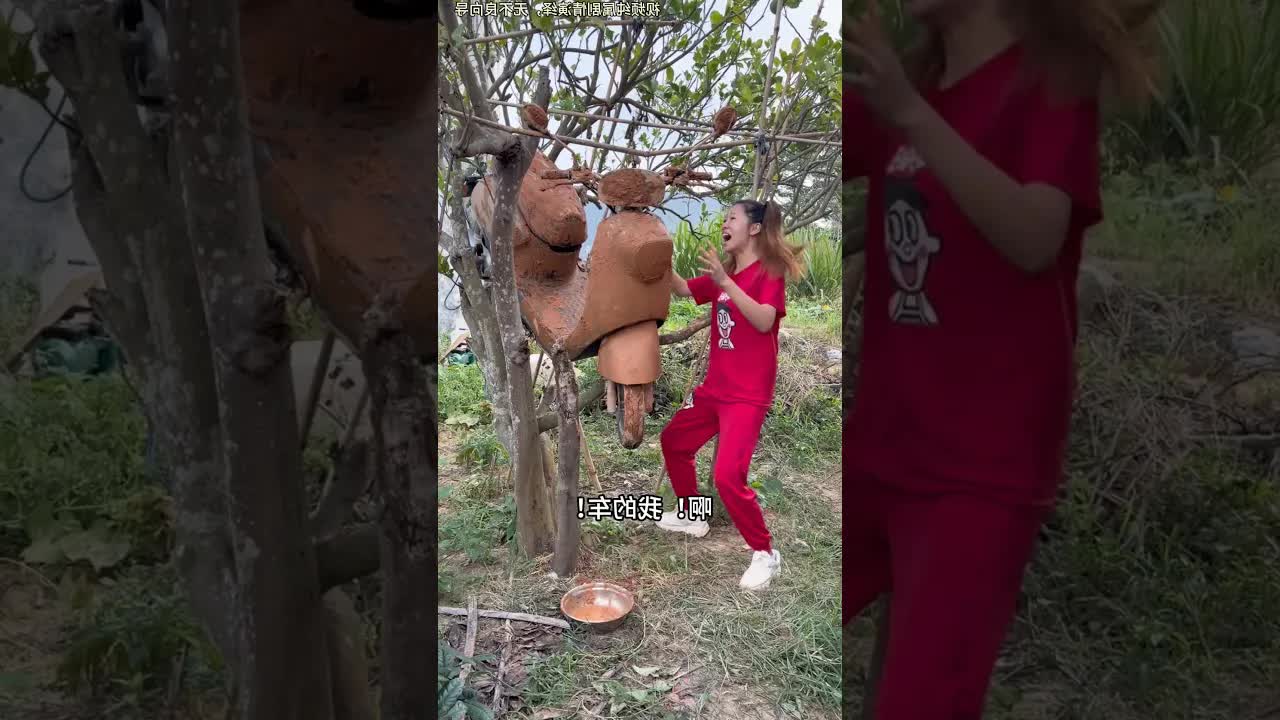 Una gallina, un coche y una venganza
