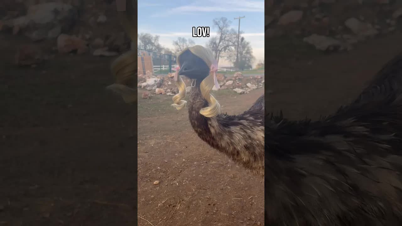 První řízení auta a nový účes