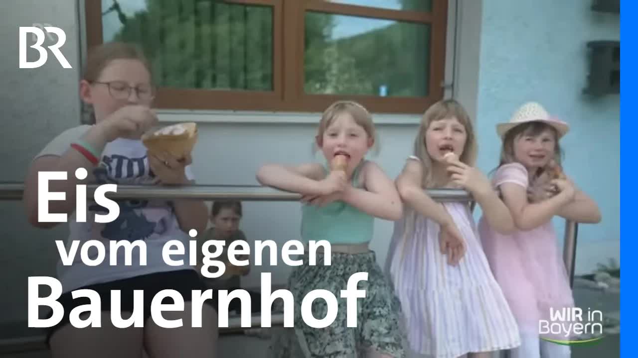 Eisbauernhof mit sprechenden Kühen