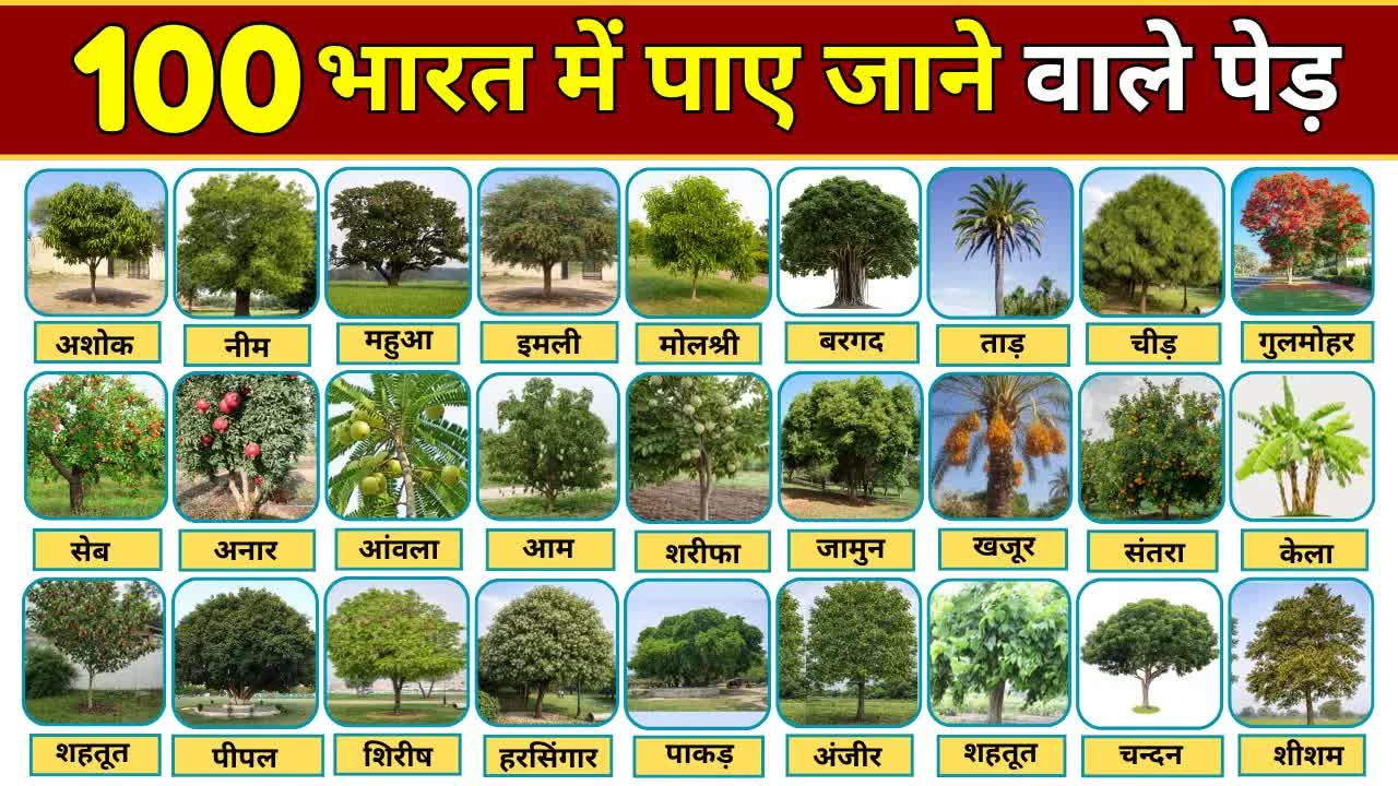 भारत के 100 प्रमुख पेड़ों के नाम