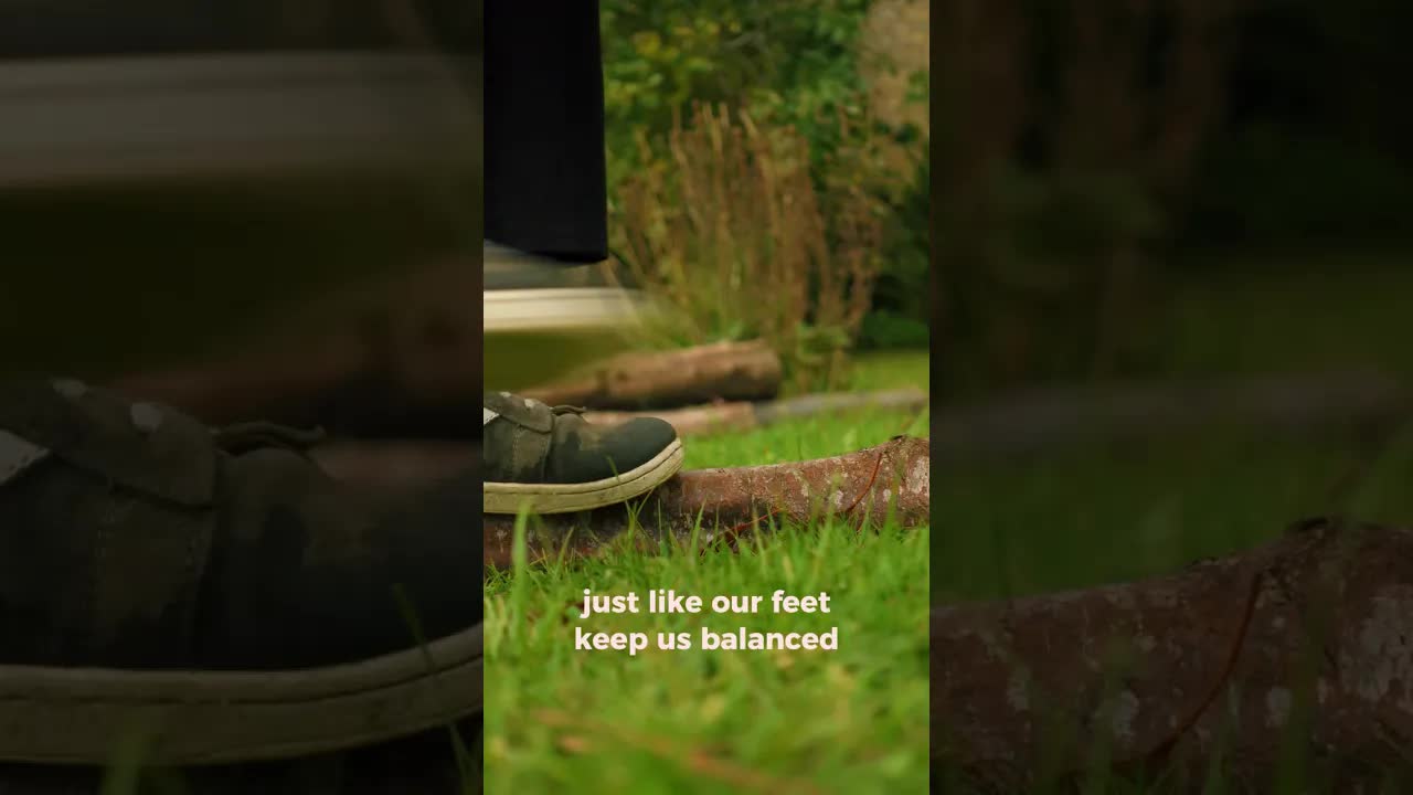 How Trees And Humans Are Connected