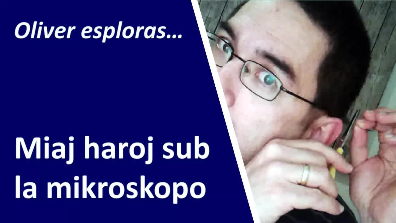 Miaj haroj sub la mikroskopo