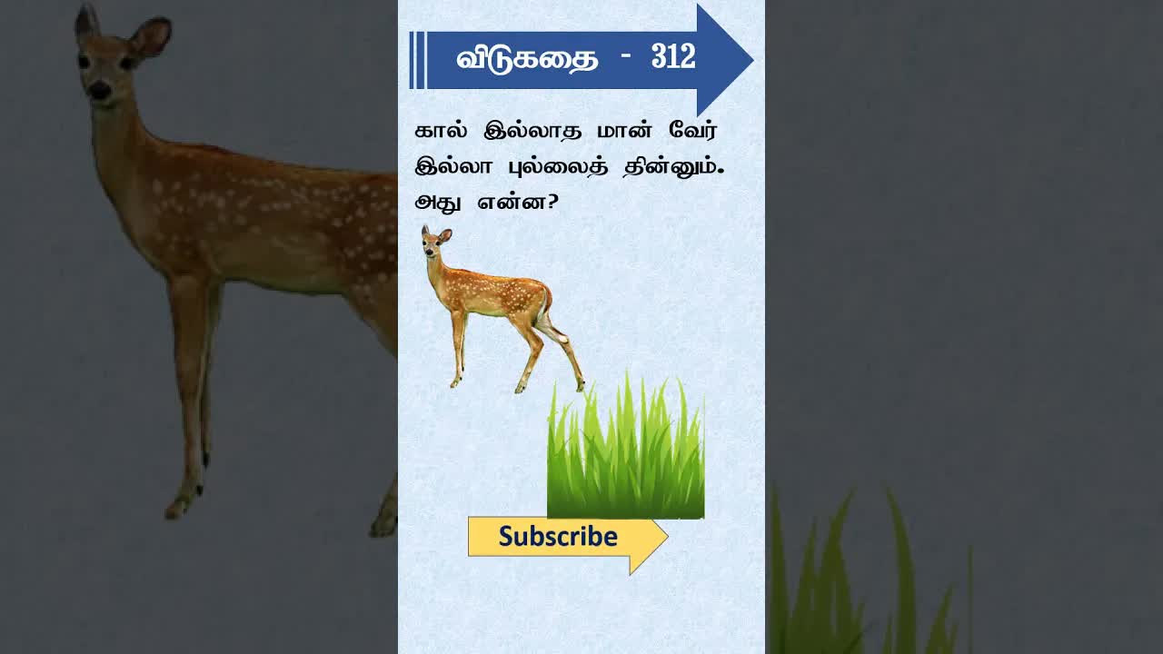 கால் இல்லாத மீன் பாசி விடுகதை