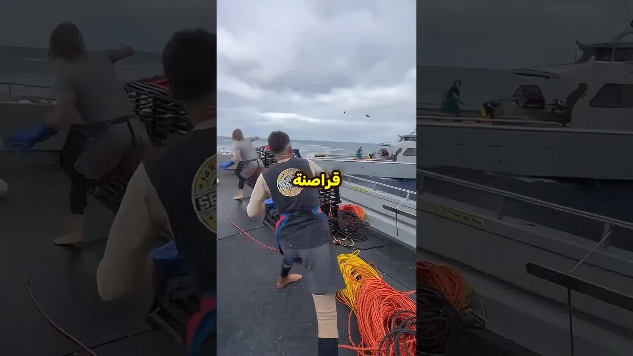 معركة ودية بين صيادين في عرض البحر