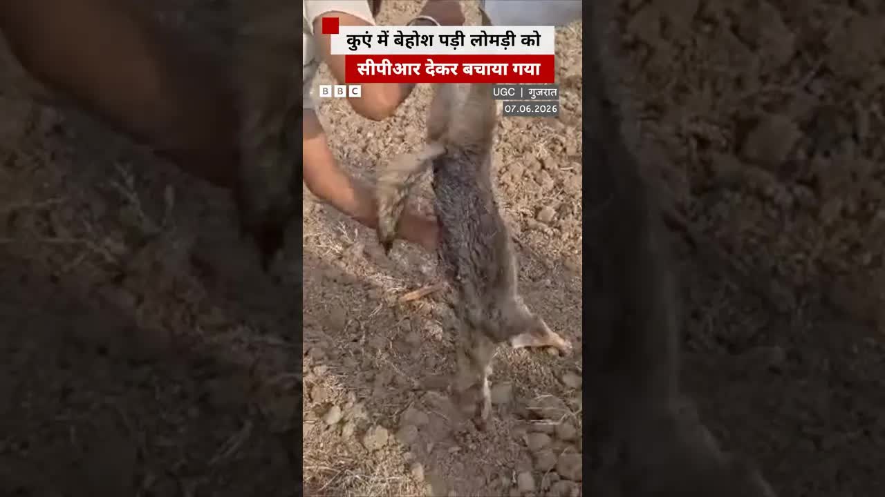 गुजरात में कुएं से लोमड़ी का रेस्क्यू और CPR