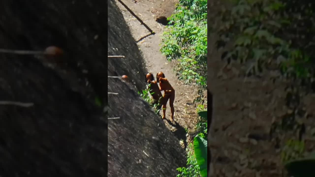 Mistérios dos Povos Isolados da Amazônia