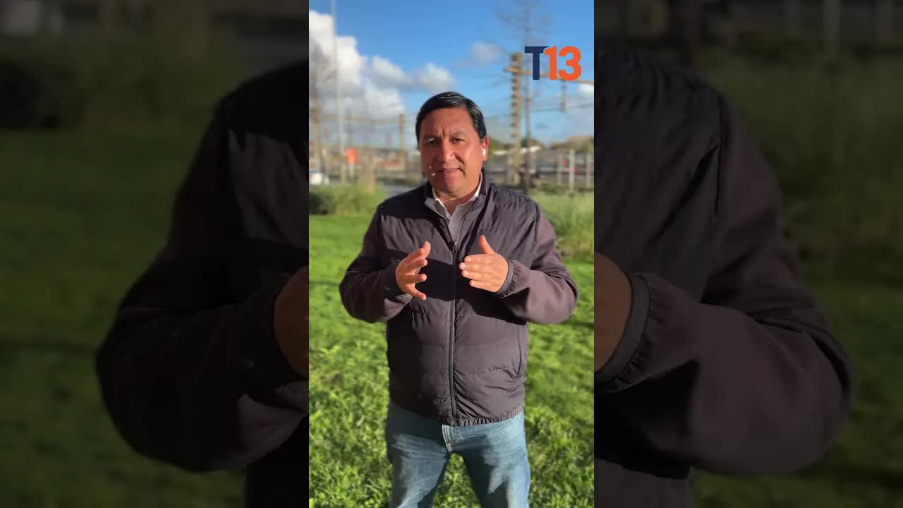 Denuncian destrucción de plantas nativas en Tomé