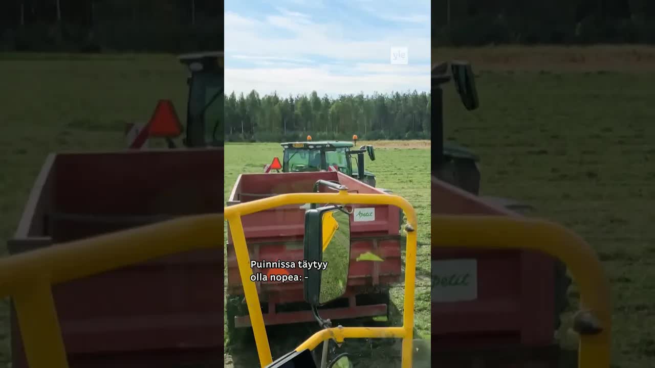 Suomalaista hernettä puidaan yötä myöten