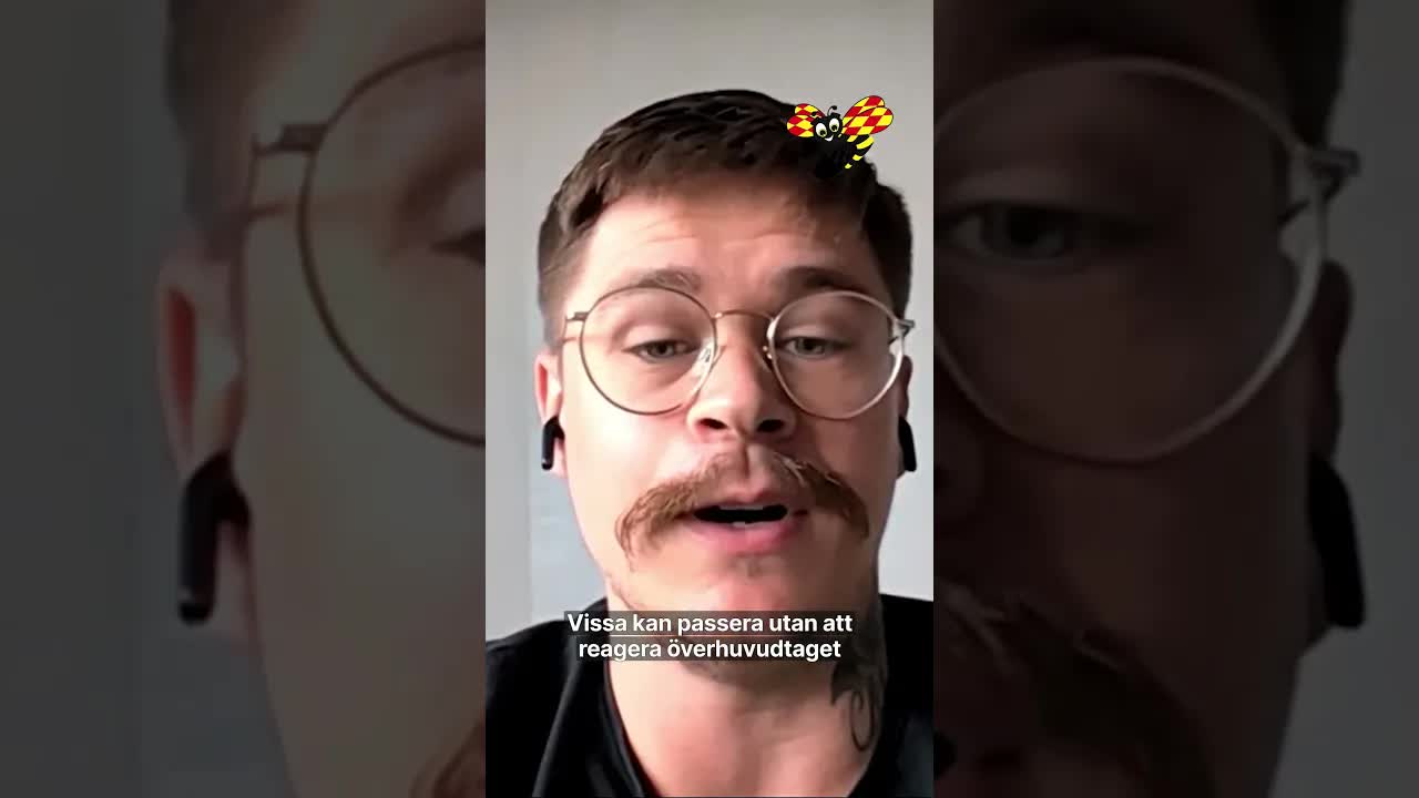 Vildsvin tar över innergård i Göteborg