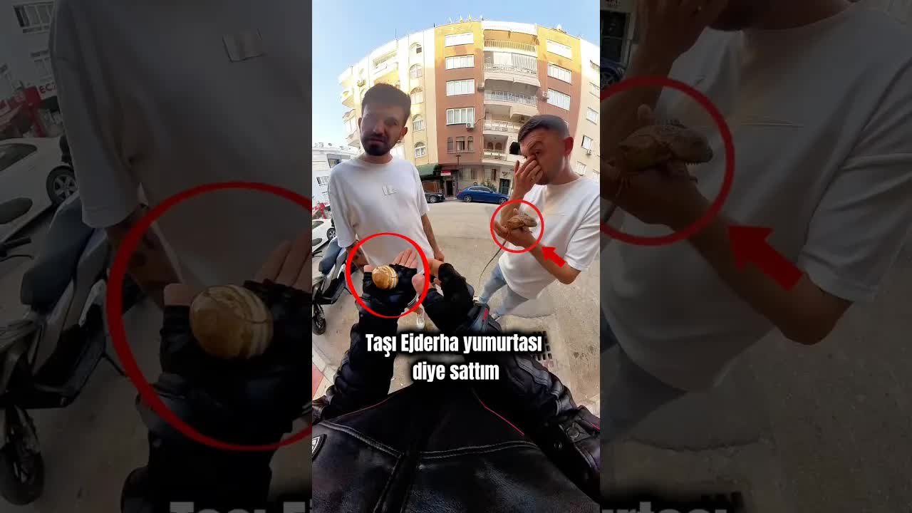 Ejderha Yumurtası Sanan Taşı İguana Olarak Satmak