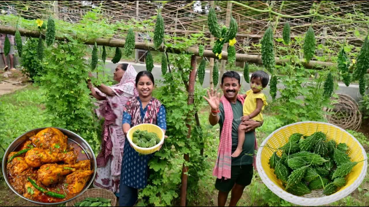 মাচা ভর্তি উচ্ছের ফলন ও গ্রামীণ জীবনের দিনবৃত্তান্ত