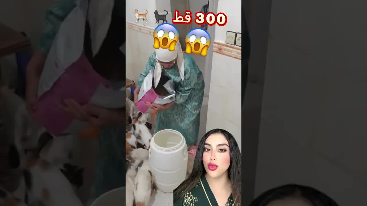 امرأة تعتني بـ300 قط وتحبهم كثيراً