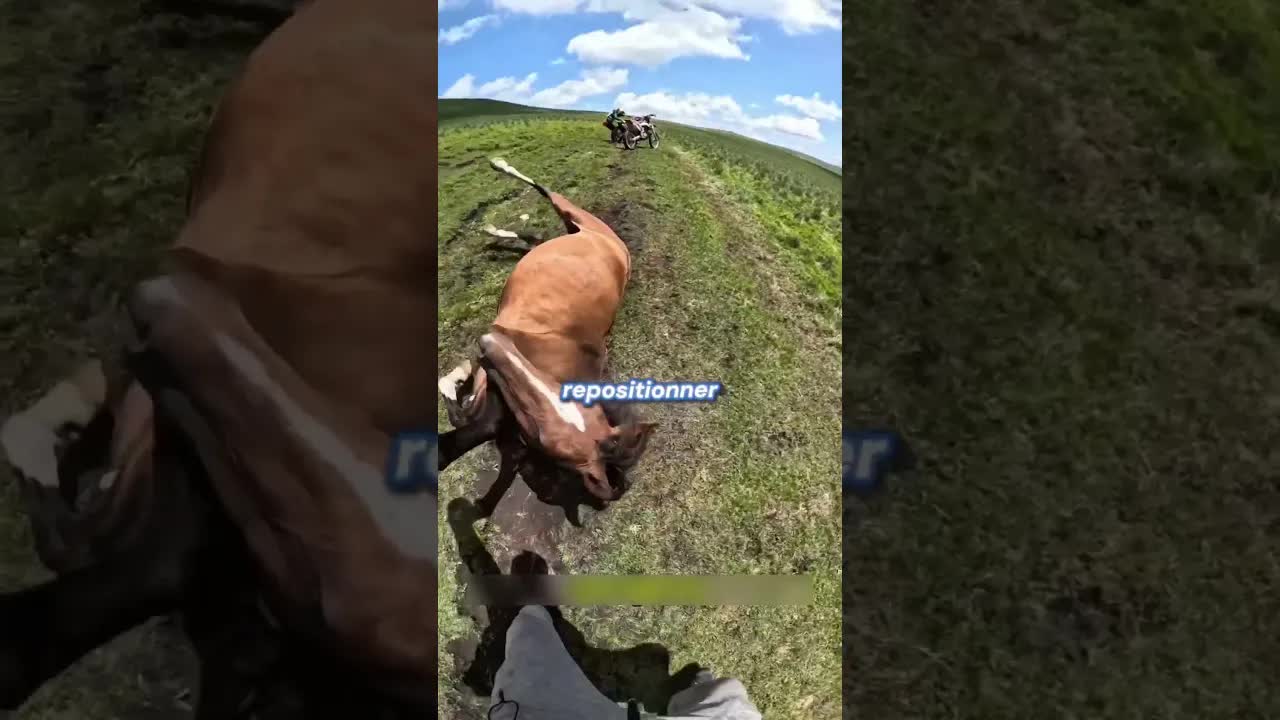 Il a aidé un cheval coincé au sol