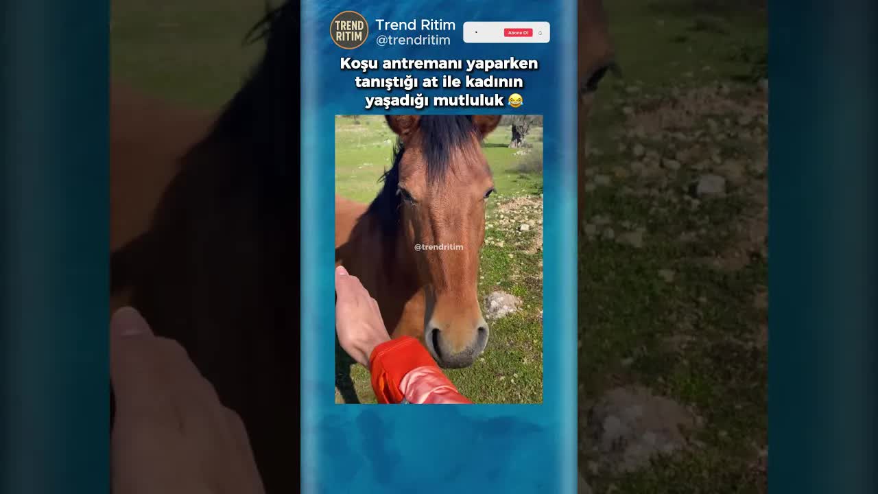 Koşu Antrenmanı Sırasında At ile Tanışma