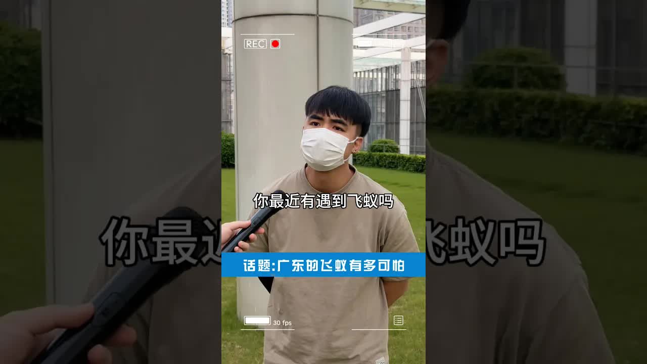 廣東飛蟻有多可怕？