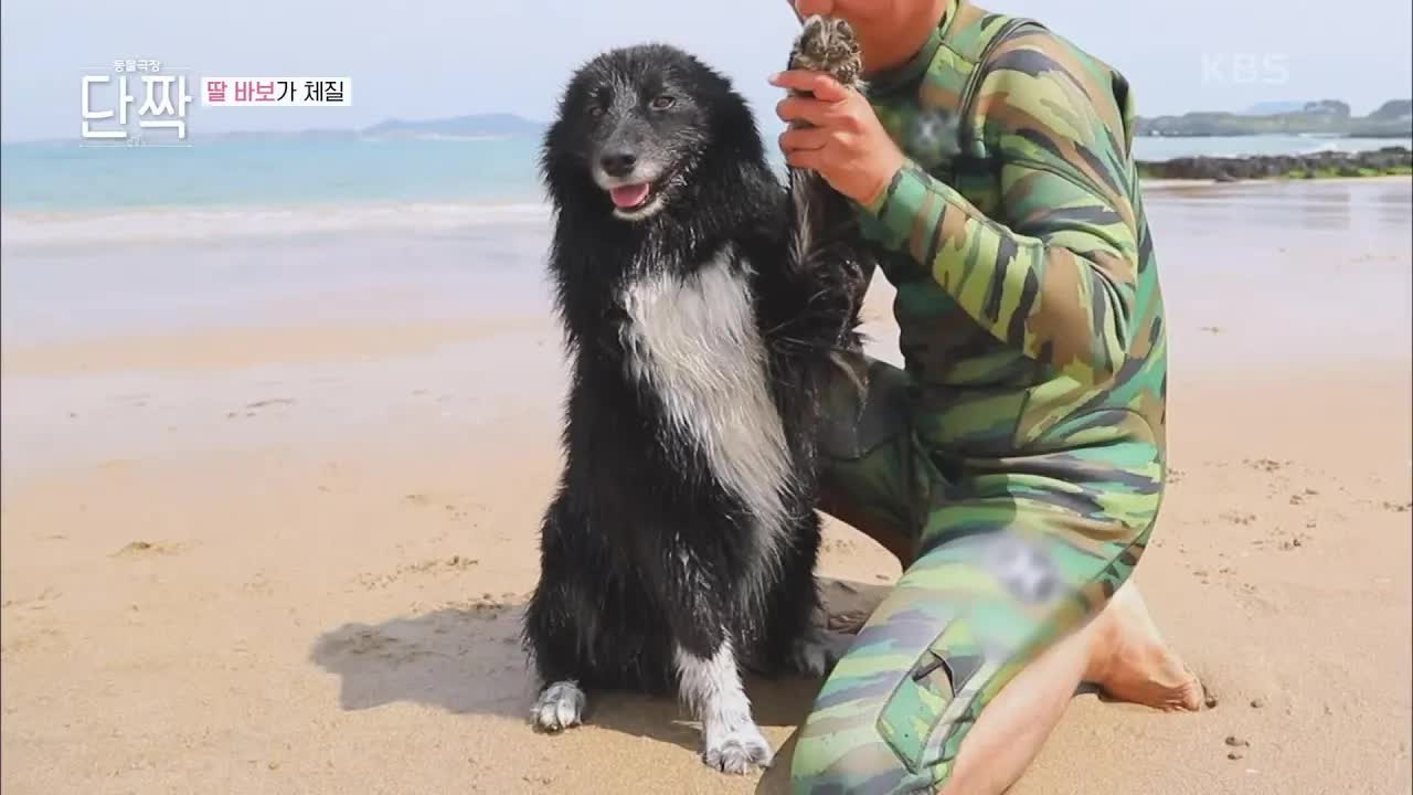 김원희 씨와 샌디의 제주 생활 이야기