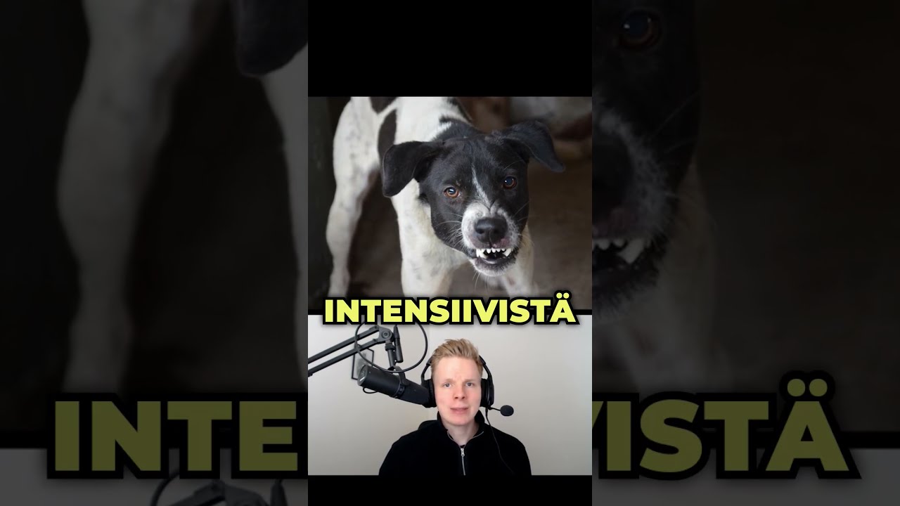 Älä herätä tärisevää nukkuvaa koiraa