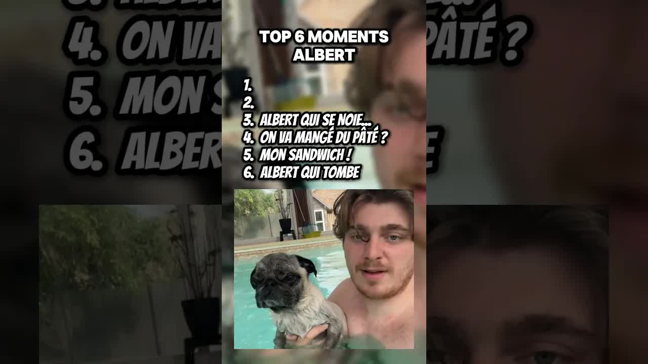 Les moments drôles d'Albert le chien