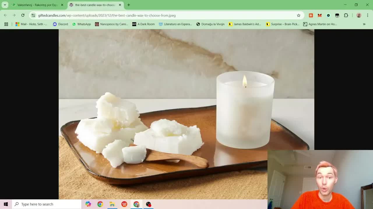 La Rakonto de la Vaksinfanoj