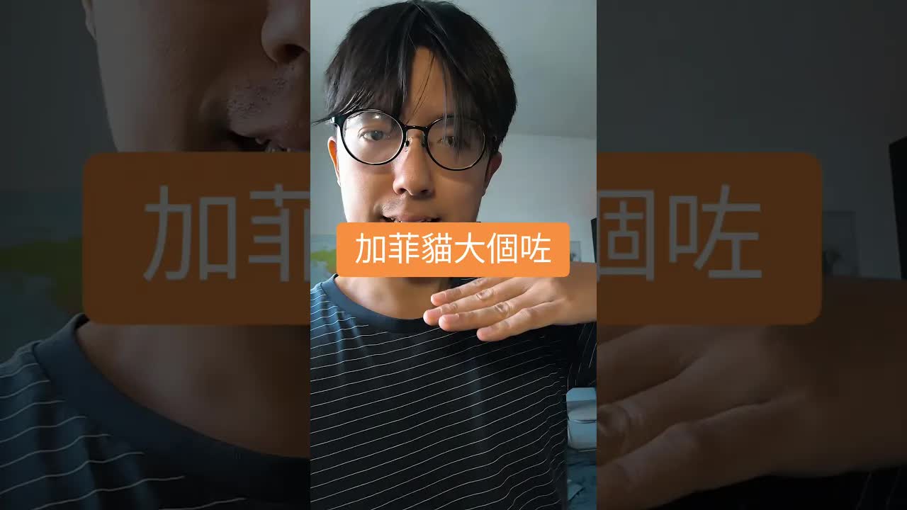 加菲貓同大哥一齊瞓覺