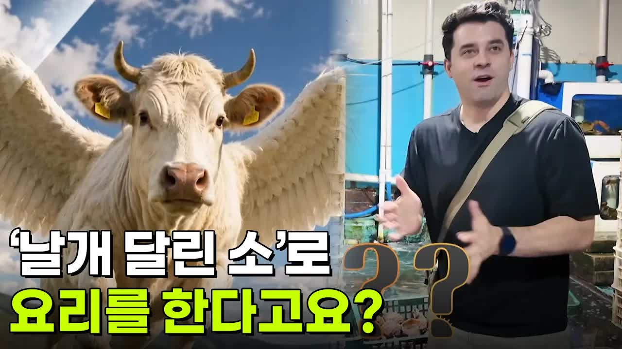 날개 달린 소라 불리는 오리백숙 요리