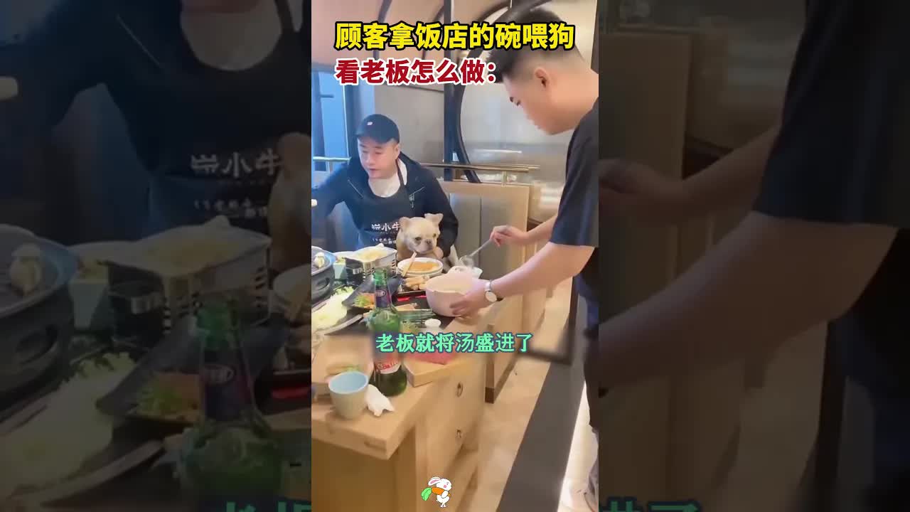 顾客拿碗喂狗，老板机智反击