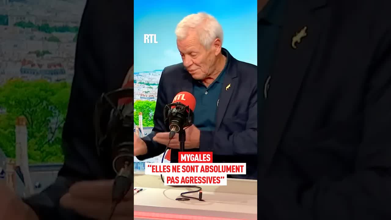 Comprendre pourquoi les mygales ne sont pas agressives