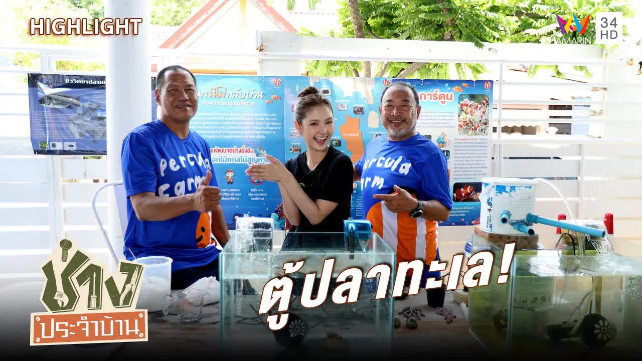 วิธีเซ็ตระบบตู้ปลาทะเลสำหรับมือใหม่