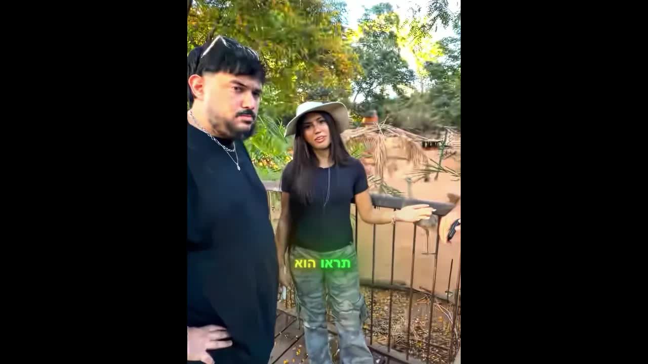 שיחה מצחיקה על נמל, נמלה ונמלים