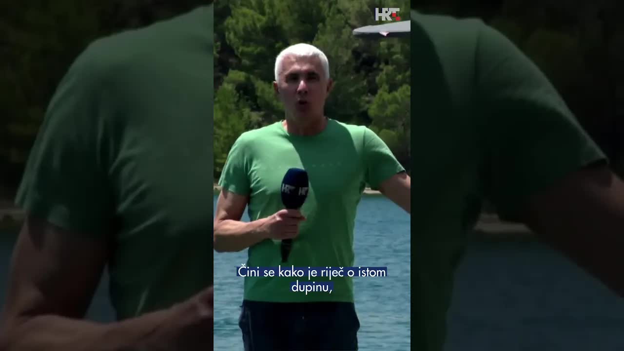Pripitomljeni dupin u Ribnici pliva s kupačima
