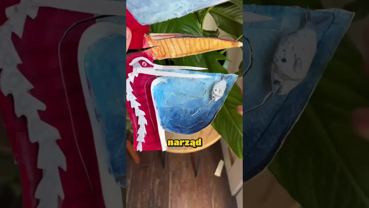 Jak pelikan łapie ryby dziobem