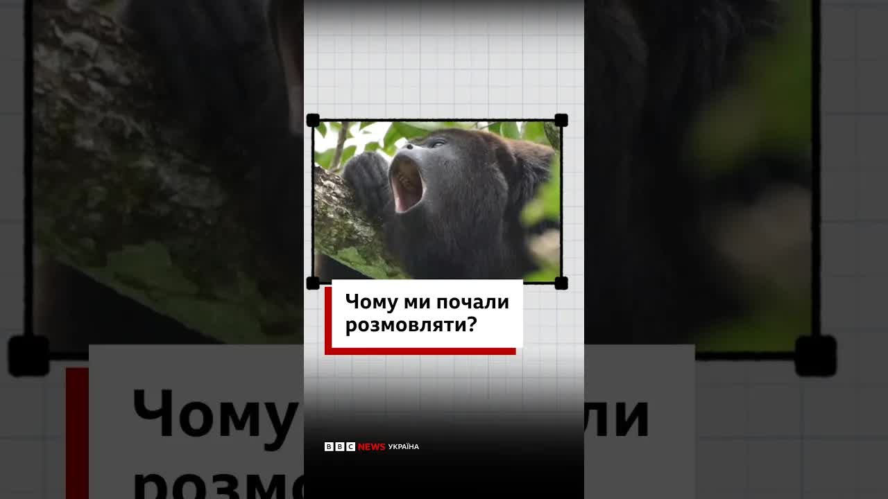 Чому люди почали розмовляти? Ключ у під'язиковій кістці