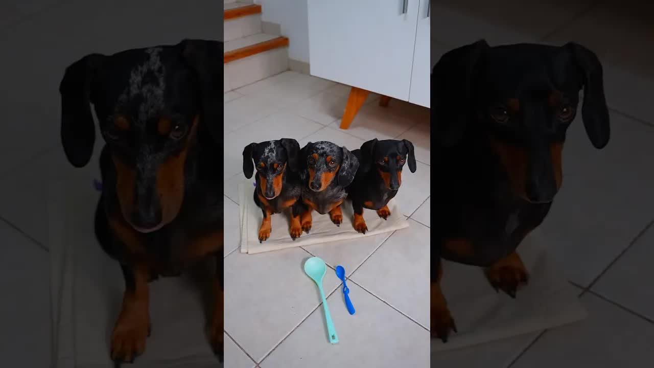 Una cuchara grande o pequeña para Nutella