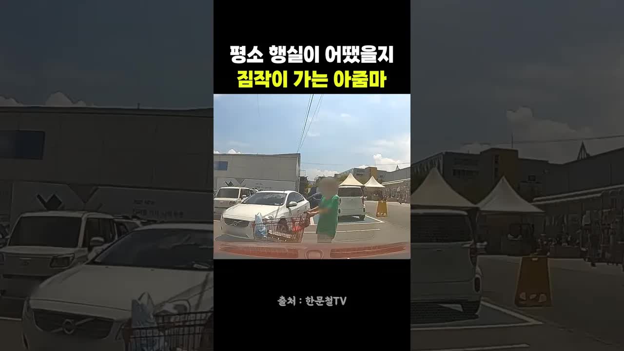 블랙박스로 본 아줌마의 실수