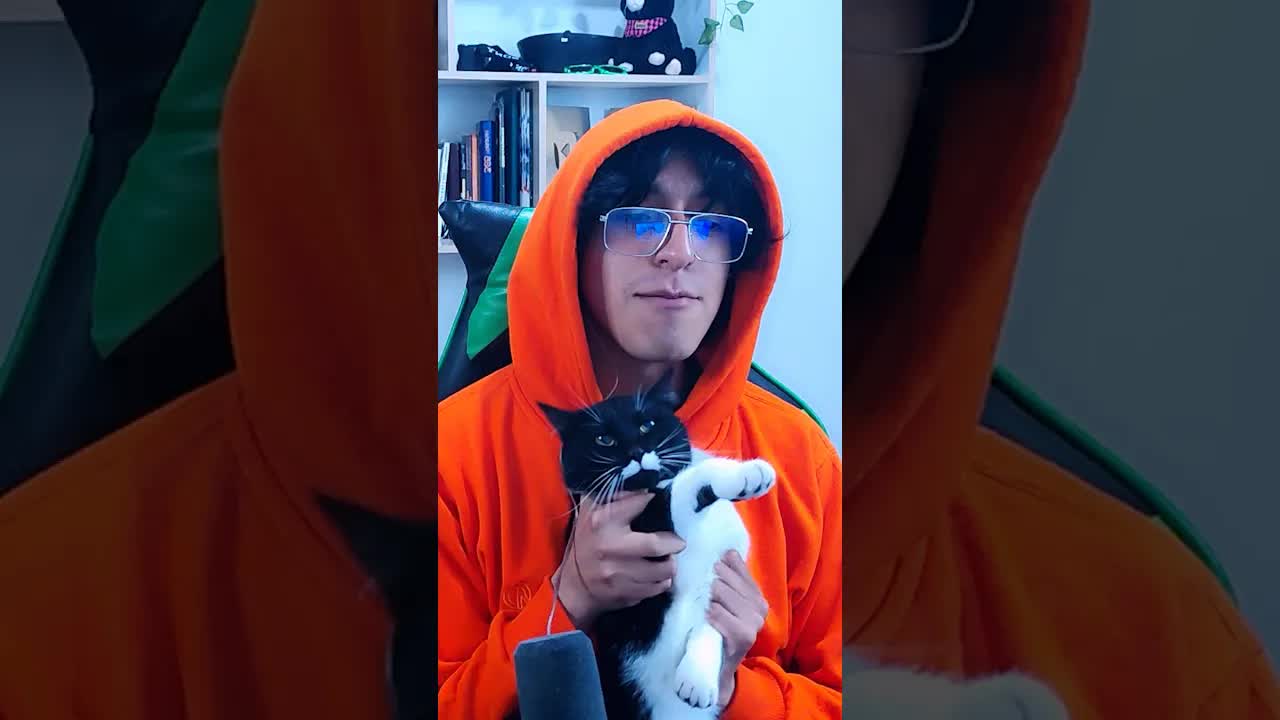 La presentación inesperada de mi gato Pelucho