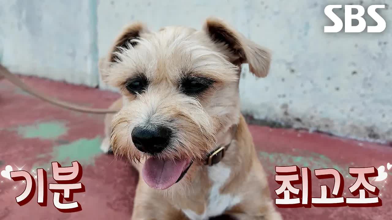 짱이의 밤낮 바꾸기 프로젝트