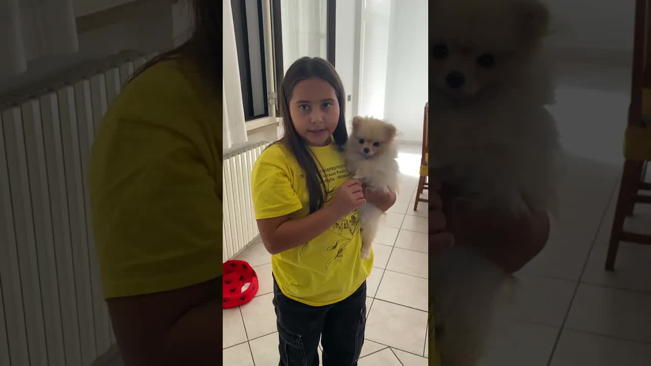 De ce plânge mereu Zara la acasă?