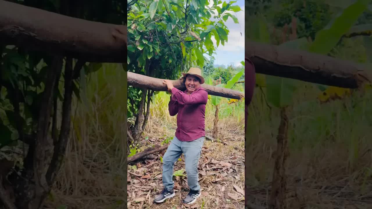 Un susto bajo el árbol